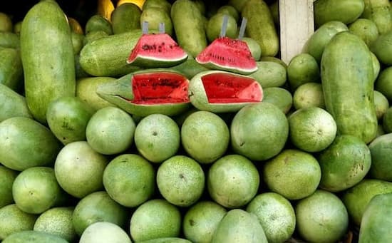 تصویر 2 از قیمت خرید هندوانه سفید رنگ با فروش عمده